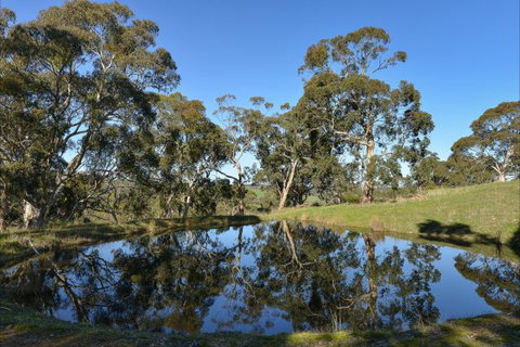 A Seascape Retreat - New South Wales Tourism  9